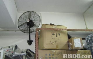 優質搬屋服務全攻略 如何輕松選擇專業搬運公司