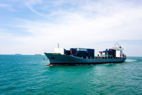 2024年致富之路 裝卸服務與跑船的機遇與挑戰